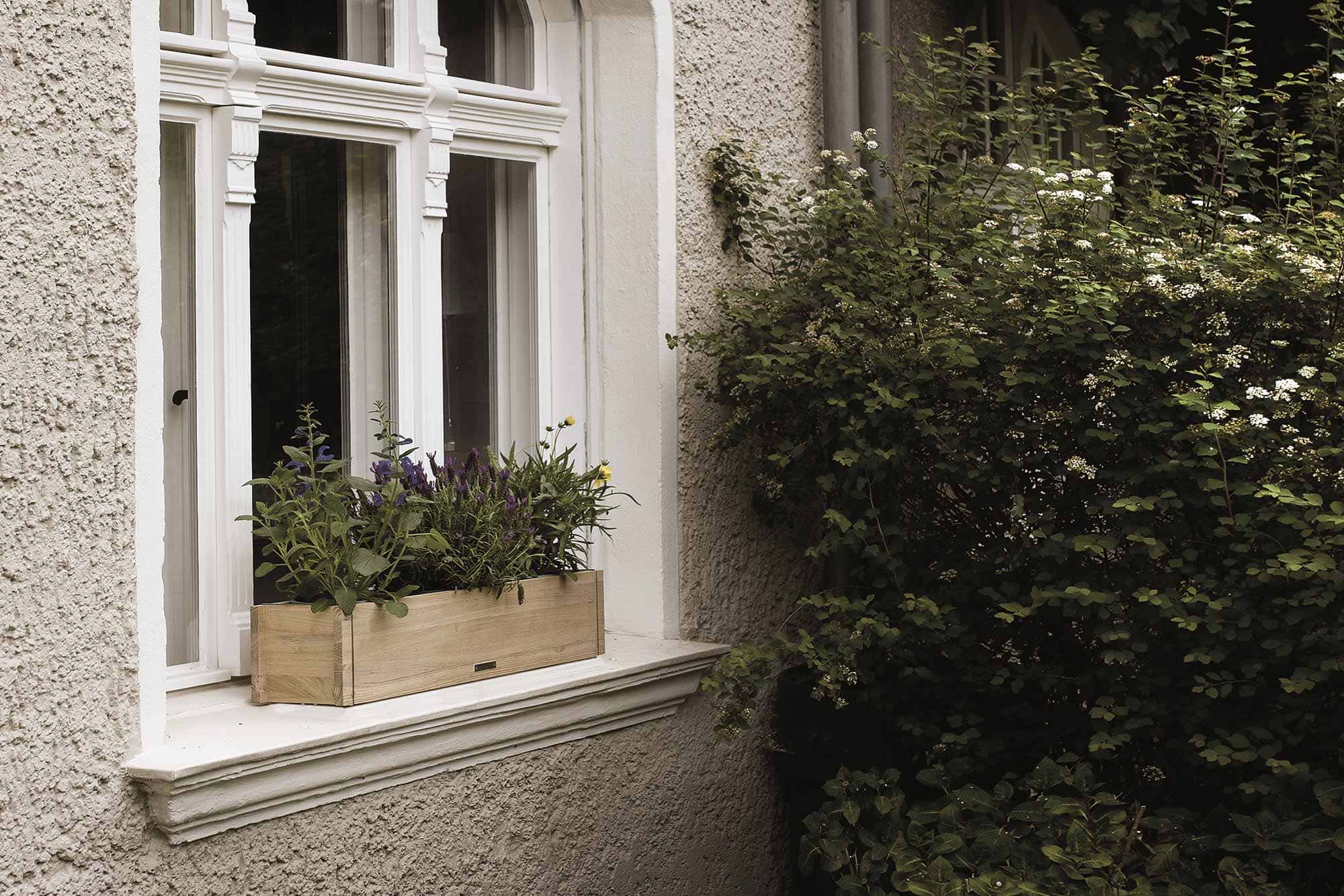 Blumenkasten im Fenster